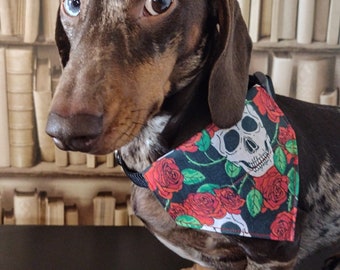 Skulls N' Roses  - Pet Bandana - Handmade Pet Bandana with Charitable donation on every order