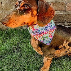 3 PACK Core Range Pick-N-Mix Range Pet Bandana with Charitable donation on every order image 8