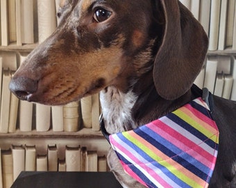 Bertie - Pet Bandana - Handmade bespoke over the collar dog bandana with charitable donation on every order