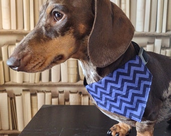 Blue Zigs - Pet Bandana - Handmade bespoke over the collar dog bandana with charitable donation on every order
