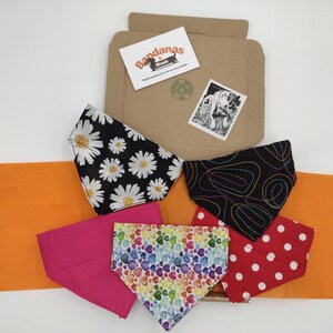 3 PACK Core Range Pick-N-Mix Range Pet Bandana with Charitable donation on every order image 9