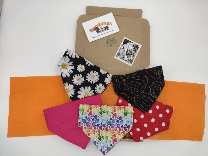 3 PACK Core Range Pick-N-Mix Range Pet Bandana with Charitable donation on every order image 9