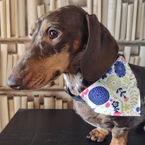 The Garden - Pet Bandana - Handmade bespoke over the collar dog bandana with charitable donation on every order