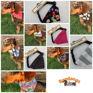 3 PACK Core Range Pick-N-Mix Range Pet Bandana with Charitable donation on every order image 2