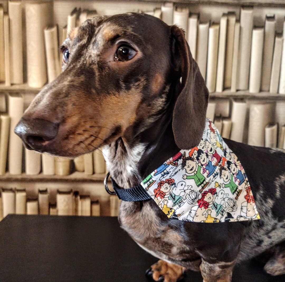 Peanuts / Snoopy Pet Bandana the Gang Handmade Bespoke Over the Collar Dog Bandana With
