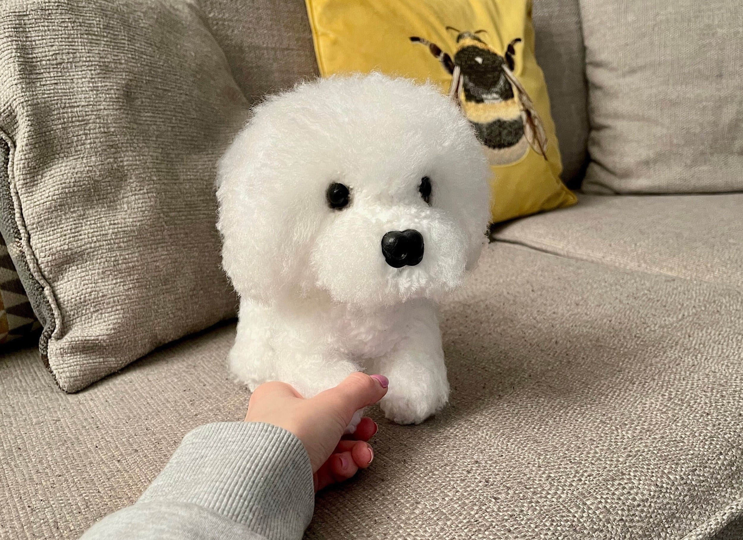 Dermatite allergica agli acari nel cane |, image size:2499x1819