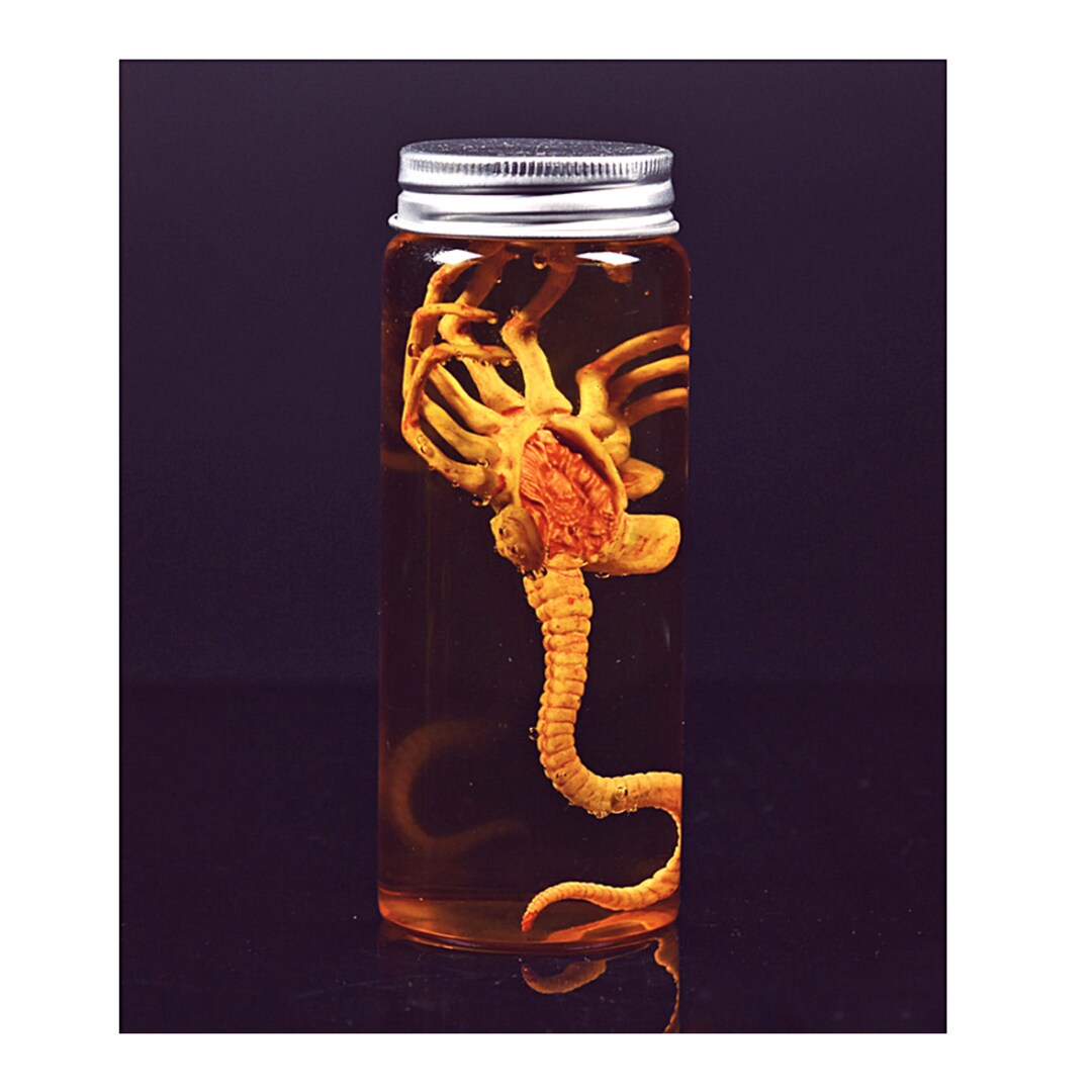 Alien Jar Xenomorph Specimenxenomorph Facehugger Embryo in Etsy Canada