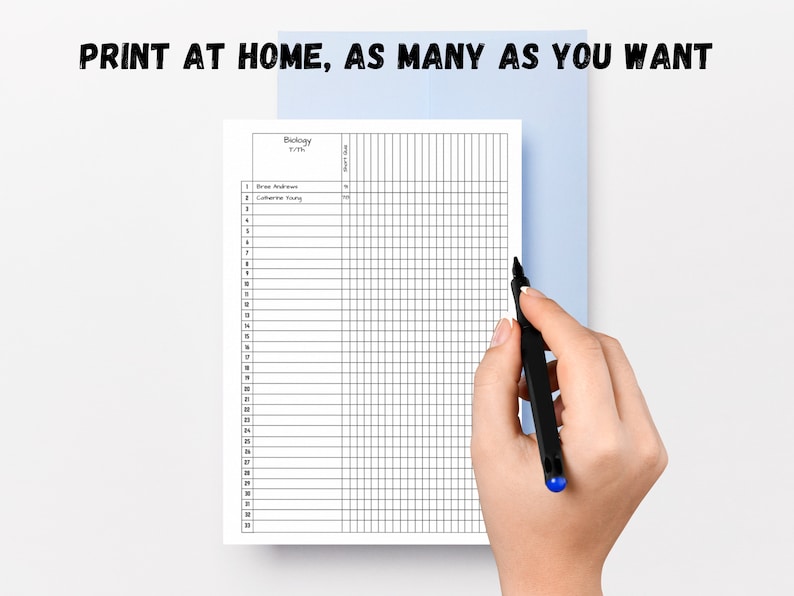 CLASS RECORD SHEET PRINTABLE visual data 8
