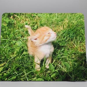 Personalised Photo Mouse Mat | Custom Rubber Desk Pad (22x18cm)