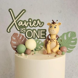 Custom Acrylic Birthday Cake Topper - Personalised Name & Age, Cake Decorations