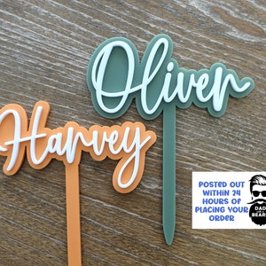 Name Cake Topper | Birthday Cake Topper | Colourful Script Cake Topper