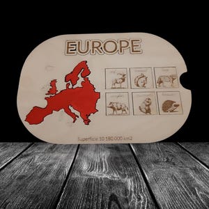 Insert Activité "Europe" pour bac TROFAST
