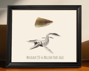 Framed Real Fossil Mosasaurus Tooth | Framed Fossil Mosasaur Tooth | Mosasaur Tooth | Mosasaur Tooth Gift Set | Fossil Display