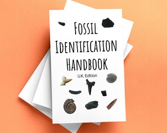 Fossil Identification Handbook (U.K. Edition)