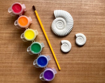 Paint Your Own Ammonite Set | STEM Activities | Kids Craft Kit | Child Painting Activity