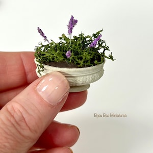 Könnte beinhalten: Miniatur-Pflanztopf in Weiß mit detailliertem Design, gefüllt mit grünem Moos und lila Lavendelblüten. Der kleine Topf eignet sich perfekt für ein Puppenhaus oder einen Miniaturgarten. Der Text "Bijou Bea miniatures" ist sichtbar.