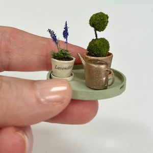 Miniature Topiary Tree