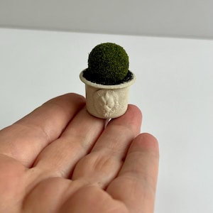 Miniature Planter with Topiary Ball