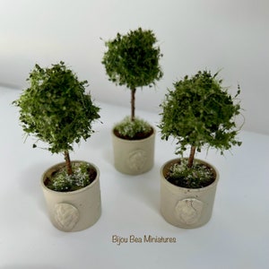 Mini Topiary Miniature Topiary Tree - Etsy