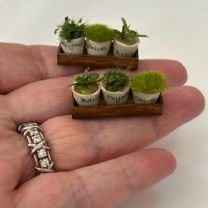 Puppenhaus-Miniatur-Kräutertablett mit Kräutern
