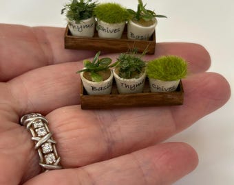 Vassoio per erbe aromatiche in miniatura per casa delle bambole con erbe aromatiche