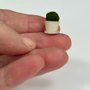 Miniature Pot with Topiary Ball