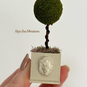 Miniature Topiary Tree