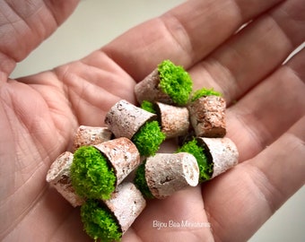 Miniature pot d'herbes pour maison de poupée (persil)