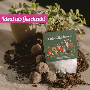 10x "Waldtiere" Samenbomben