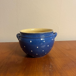 Può includere: Un piccolo vaso in ceramica blu con pois bianchi e due manici. Il vaso ha un interno color crema.