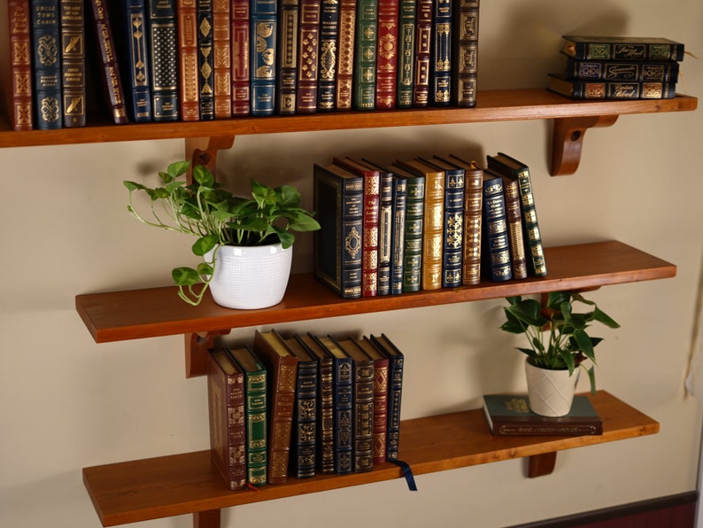 K&ouml;nnte beinhalten: Drei Holzregale mit B&uuml;chern und Topfpflanzen. Das obere Regal hat eine Sammlung von ledergebundenen B&uuml;chern mit goldenen Beschriftungen. Das mittlere Regal hat eine Sammlung von B&uuml;chern mit goldenen und roten R&uuml;ckenteilen. Das untere Regal hat eine Sammlung von B&uuml;chern mit goldenen und blauen R&uuml;ckenteilen. Es gibt zwei Topfpflanzen, eine auf dem mittleren Regal und eine auf dem unteren Regal.