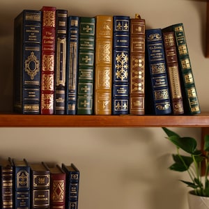 Shot of center portion of shelf.
