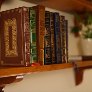 View of bottom shelf from left-hand angle.