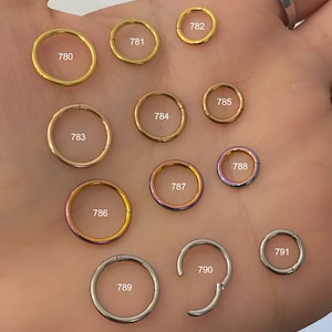 Helix Hoop,Helix Ring,Helix Piercing,Tragus Piercing,Rook Piercing,Rook Hoop Earrings,Hinged Segment Ring,Ear Cartilage Hoop,Surgical Steel