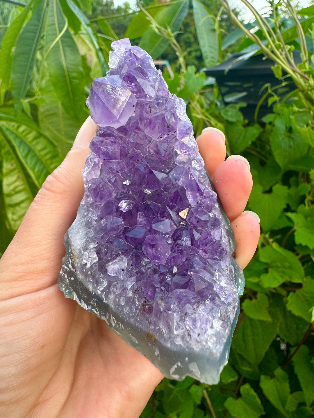 巨大！超迫力12.7kg 愛の守護石 アメジスト 紫水晶 原石 天然石 置物 透明