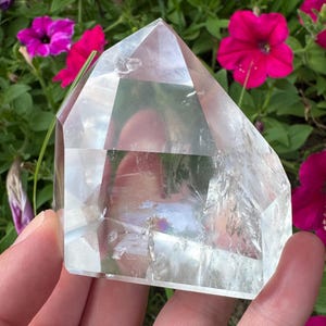 以下が含まれることがあります： ファセット加工された幾何学的なデザインの透明な水晶ポイント。鮮やかなピンクと紫のペチュニアの花と緑の葉を背景に、クリスタルが保持されています。クリスタルの表面は光を反射しています。
