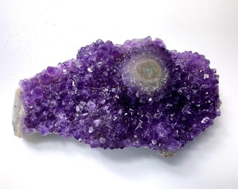 Può includere: Un grappolo di cristalli di ametista grezzi con punte cristalline frastagliate di colore viola intenso sulla superficie. Una prominente formazione circolare di colore più chiaro con anelli concentrici è incastonata al centro della struttura.