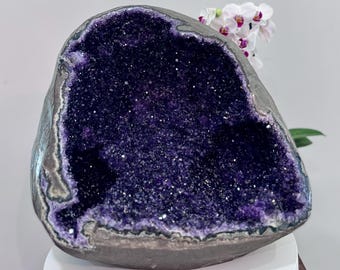 May include: A large amethyst geode, showcasing a deep purple crystalline interior. The outer shell is a dark grey with a smooth, rounded form. White and purple orchids are visible in the background.