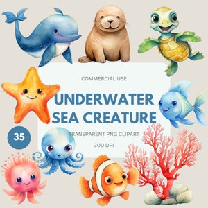 Underwater Sea Creature Clipart Pack, Cute Sea Creatures, Coral Life, Aquatic Plants PNG, Ocean Animal Water Color, Commercial Use