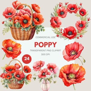 Mohnblume Clipart, Aquarell Mohnblume Clipart, Blumenillustration, rote Mohnblume, Volkstrauertag Blumen kommerzielle Nutzung, transparente PNG