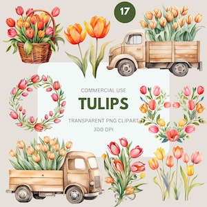 Tulp bloem clipart, aquarel lente clipart, botanische clipart, bloemen, tulp randen krans commercieel gebruik, transparante png