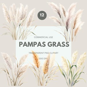 Clipart d'herbe de la pampa, aquarelle d'herbe de la pampa et fleurs, mariage neutre, floral bohème, fleurs séchées pour usage commercial, PNG transparent
