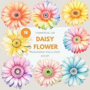 Daisy clipartpakket, pastelkleurige madeliefjes aquarel, gerberabloem, madeliefje, lentebloem, bloemengarbera's, plakboek kaarten maken, commercieel gebruik