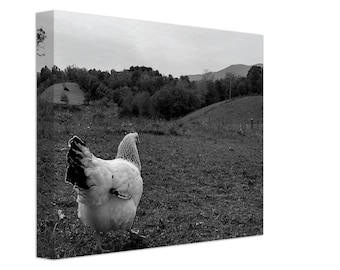 Op de afbeelding: Zwart-wit canvas print met een kip in een veld. De kip is wit met zwarte accenten, van achteren gezien. De achtergrond toont een grasveld, bomen en een bewolkte lucht.