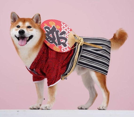 Dog kimono costume clearance