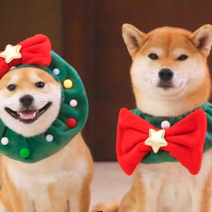 May include: Two Shiba Inu dogs wearing festive holiday accessories. One dog has a green wreath with colorful ornaments and a red bow with a gold star. The other dog wears a green collar with a red bow and gold star.