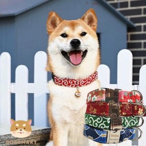 Personalized Japanese Style Stainless Steel Pet Name Collar / Customized Pet Tag Collar with matching Leash Set