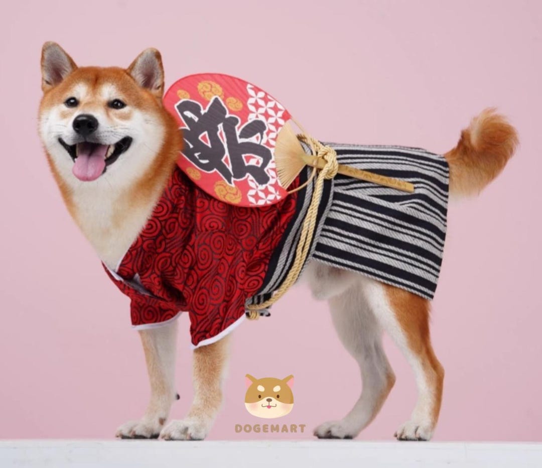 Dog Japanese Warrior Kimono