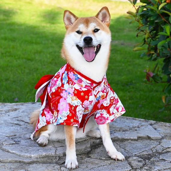 Dog Japanese Kimono With Bow Etsy