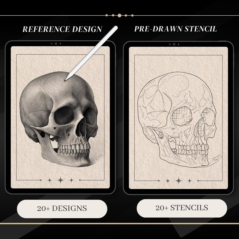 May include: Two digital illustrations of a human skull. The left image shows a detailed drawing of a skull in grayscale. The right image shows a line drawing of a skull with a grid pattern. Both images have text below them that reads "20+ Designs" and "20+ Stencils".